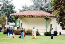 Dog Class in the Park